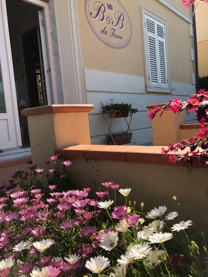 B & B Da Ferro Massarosa Exterior photo